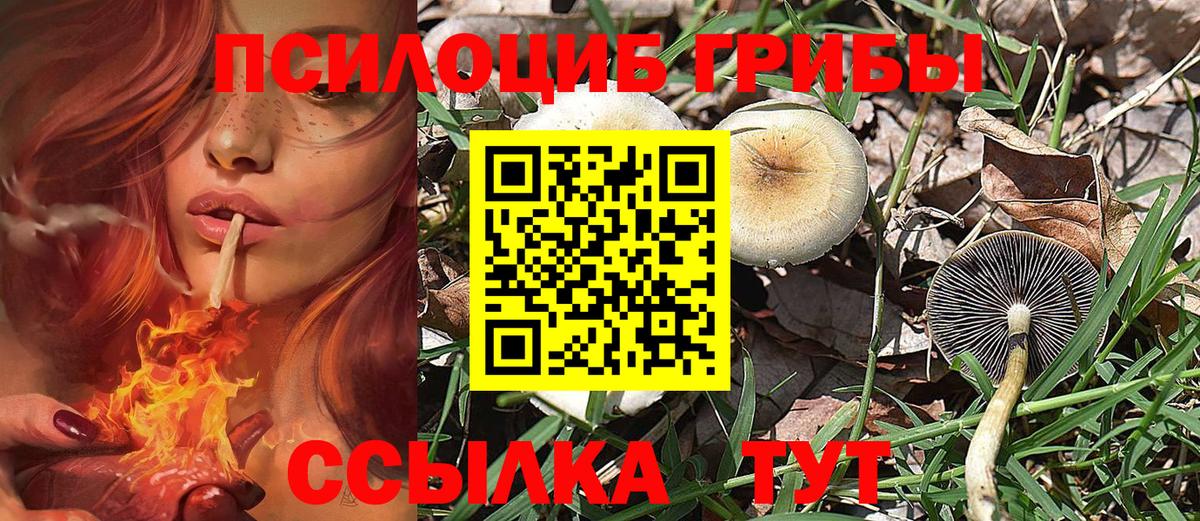 Кирово-Чепецк  Галлюциногенные грибы Psilocybe  наркотики  Вход с VPN 
